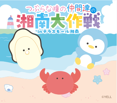 つぶらな瞳の仲間達の湘南大作戦 inテラスモール湘南
