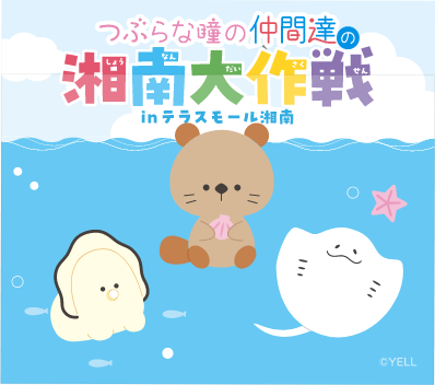 つぶらな瞳の仲間達の湘南大作戦 inテラスモール湘南