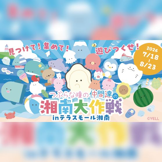 つぶらな瞳の仲間達の湘南大作戦 in テラスモール湘南