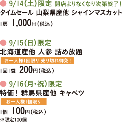 北海道産他 たまねぎ詰め放題