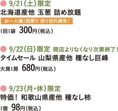 北海道産他 にんじん詰め放題