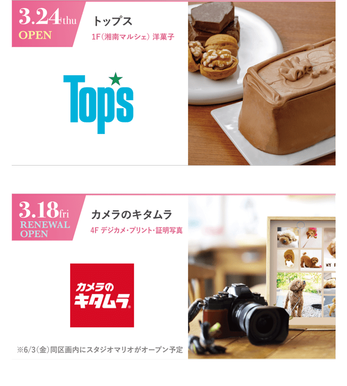 3.24 thu OPEN｜トップス｜1F(湘南マルシェ)洋菓子　／　3.18 fri RENEWAL OPEN｜カメラのキタムラ｜4F デジカメ・プリント・証明写真