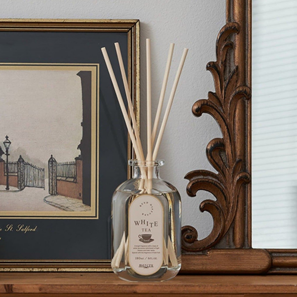 Tea Collection 🫖🤍 | BIRTHDAY BAR | ショップニュース | テラス